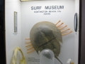 Surf Museum