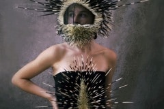 porcupine-headpiece